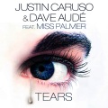 Tears (feat. Miss Palmer)(Radio)(Radio Edit)