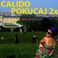 Calido - Pokucaj 2x