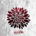 Blossom - Believe