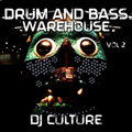 DJ Culture - Surge