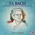 Herbert Waltl - Brandenburg Concerto No. 3 in G Major, BWV 1048: Adagio