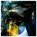 Pelican - Terminal