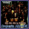 orquesta aragón - Radioactivity