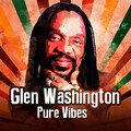 glen washington - Wanna Take You Home
