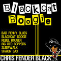 Chris Fender Black - Blackcat Boogie