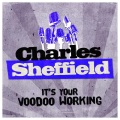 Charles Sheffield - It's Your Voodoo Working