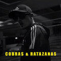 HOLLY HOOD - Cobras & Ratazanas