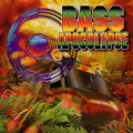 Bass Factory - D.R.O.P. The Bass