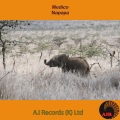 Medico - Napapa