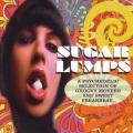 Rod Stewart、Ronnie Wood、barry tashian - Food For Soul