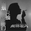 MC林轻风 - 炫赫门