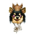 Spor - Kingdom