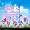 曲调悠扬 - 有你的世界最美丽
