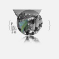 子猫 - 洁白如雪的银色世界