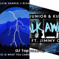 DJ Top - Calvin Harris feat. Rihanna x Tony Junior & Kura feat. Jimmy Clash - This Is What You Came For x Walk Away  (DJ Top Mashup)