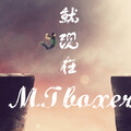 MT Boxer - 就现在 (Original Mix)