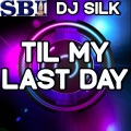 DJ Silk - Til My Last Day
