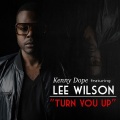 Turn You Up (Kenny Dope & Todd Terry Remix)(Remix)