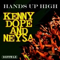 Hands up High (KennyD**eO'guttaMix)