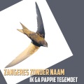 Zangeres Zonder Naam - Ik Ga Pappie Tegemoet