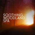 Nature Spa - Stream Sounds