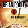 Brian Poole & the Tremeloes - The Three Bells