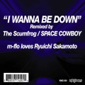 I Wanna Be Down (The Scumfrog Mix)