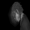 Twich Flava、Bono - No Problems
