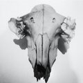ishmael - Au Juju