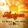 Roy Davis Jr.、terry dexter - Horizon (feat. Terry Dexter)(Original Mix)(Remix)