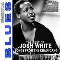 Josh White - Did You Ever Love A Woman
