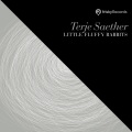 Terje Saether - Maybe
