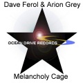 Dave Ferol、Arion Grey - Melancholy Cage (Arthur Deep remix)