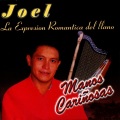 Joel - Cumpleañera