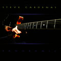 Steve Cardenas - Visa