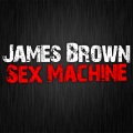 *** Machine In Concert (Live Session)