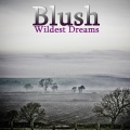 Blush - Waited Long Enough