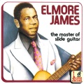 The Master of Slide Guitar