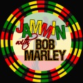 Bob Marley、The Wailers - Touch Me