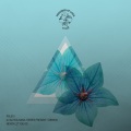 dj glen、Nana Torres、Sommos - Despise