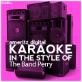 Karaoke (In the Style of the Band Perry) - Single