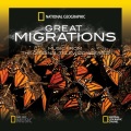 Anton Sanko - Monarch Butterflies