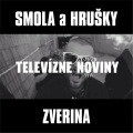 Televizne noviny