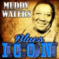 Muddy Waters - You Gonna Need My Help