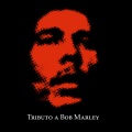 Fidel - Wake up and live