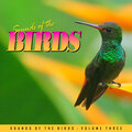 Various Artists - Ripples of Lifeless Natu