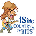iSing Country Hits - Highway Don't Care