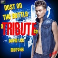 Ameritz Tribute Standards - Dust On The Bottle (A Tribute To David Lee Murphy)