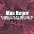 Jorg Metzger - Cello Sonata No. 4 in A minor, Op. 116: III. Largo