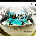 Malambo Argentino